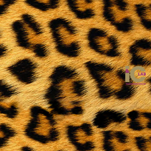 WILD LEOPARD